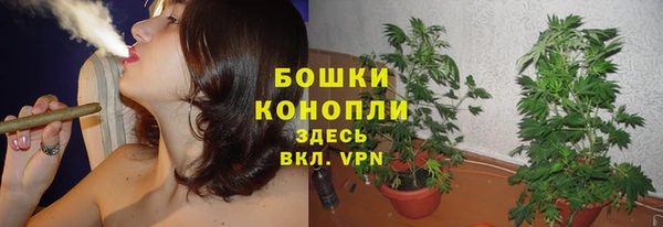 экстази Горняк