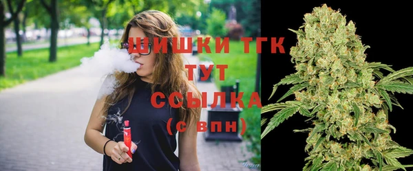 амф Вяземский