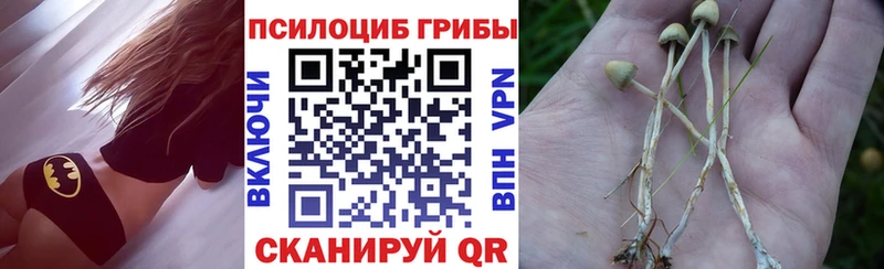 сколько стоит  Чусовой  даркнет состав  Псилоцибиновые грибы Psilocybe 