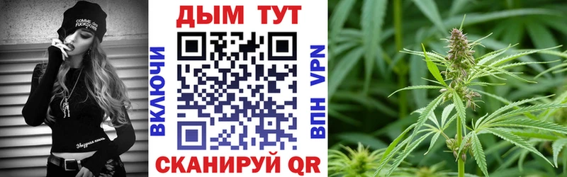 Канабис сатива  где купить наркоту  МЕГА как зайти  Чусовой 